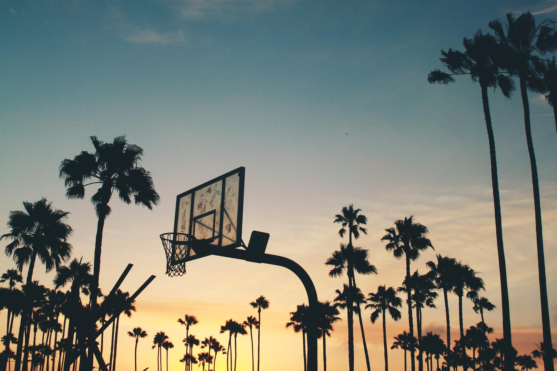 A basketball hoop and palm trees at sunset.